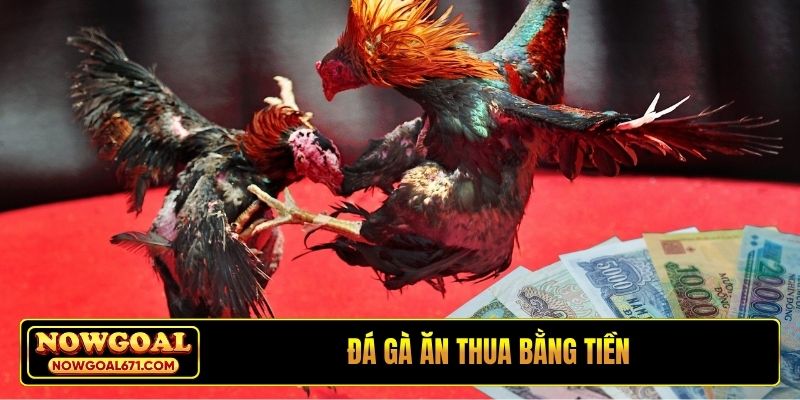 Đá gà ăn thua bằng tiền